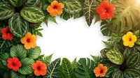 Tropical frame with vibrant hibiscus flowers and lush green leaves on white background. Summer paradise border for vacation designs and exotic themes.
