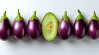 Row of fresh purple eggplants with one sliced green cucumber in middle showing seeds on white background, creative food composition for healthy eating concept.