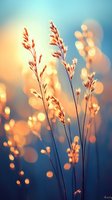 Delicate grass silhouettes against sunset sky with golden bokeh lights creating dreamy atmosphere. Soft focus nature photography for peaceful wall art and meditation spaces.