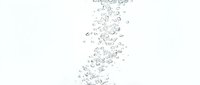 Isolated water droplets and bubbles cascading downward on white background, suitable for design, advertising, and digital projects.