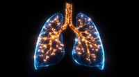 Glowing anatomical lungs with illuminated bronchial tree and alveoli on black background, blue and orange neon effect for medical visualization and healthcare design.