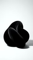 Abstract black sculptural form with curved organic shapes on white background for modern art and design projects.