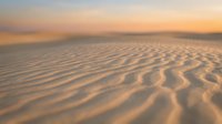Golden sand dunes with rippled texture patterns at sunset creating warm desert landscape with soft focus background for travel and nature concepts.