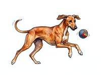 Brown dog playing with ball, isolated on white background, ready for design use on apparel, stickers, and marketing materials.