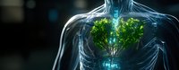 Glowing translucent human torso with green plant growing inside chest cavity against dark background, representing connection between nature and human body, medical concept.