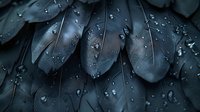 Dark feathers with water droplets in moody lighting create dramatic natural texture, highlighting delicate details and mysterious atmosphere.