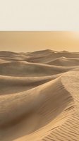 Vast desert landscape with rolling sand dunes under golden sunlight, featuring rippled textures and warm tones. Suitable for travel, nature, and background design projects.