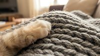 Tabby cat paw resting on gray knitted blanket in cozy home interior with warm natural lighting.
