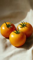 Fresh yellow tomatoes with green stems arranged on soft beige fabric with dramatic shadows, showcasing vibrant color and texture for food photography.