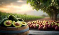 Fresh ripe avocados in wooden bowl with harvest field background, morning sunlight creates atmospheric mood, farm to table concept for healthy eating.
