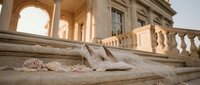 Elegant stone staircase with ornate balustrade leading to classical architecture building with columns and arched entrance in warm sunlight.