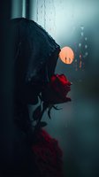 Red rose behind rain-covered window with blurred orange sun in dark moody background, water drops creating atmospheric melancholic scene.