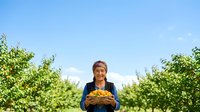 Mature woman farmer holding fresh harvested potatoes in agricultural field with green crops and clear sky background.