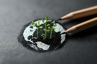 Young green sprouts growing from painted Earth globe on black stone surface with wooden pencils, representing environmental sustainability and growth.