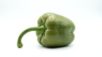 Fresh green bell pepper with stem isolated on white background, suitable for food, cooking, nutrition, and culinary design projects.