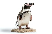 Humboldt penguin standing on rocky surface against white background. Detailed nature figure shows speckled belly pattern and distinctive markings of species.