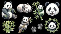 Panda bear collection with bamboo leaves isolated on transparent background, ready for t-shirt design, clipart, stickers, sublimation and print-on-demand projects.
