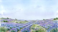Lavender field landscape with rolling hills and blooming purple flowers in countryside setting, suitable for travel, agriculture, and nature design projects.