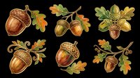 Autumn acorn clipart set with oak leaves in warm fall colors, isolated on transparent background. Great for stickers, t-shirt design, print on demand, and sublimation.
