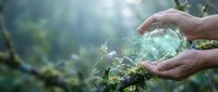 Hands protecting glowing green earth globe with plants growing, symbolizing environmental conservation and sustainable future for ecology awareness campaigns.