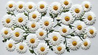 White daisy flowers with yellow centers and green stems arranged in decorative pattern on light background for spring design projects.