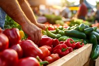 Male hands selecting fresh red bell peppers at outdoor farmers market with colorful vegetables in wooden crates during golden hour sunlight.