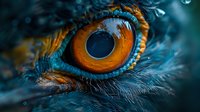 Close-up macro shot of vibrant orange bird eye with detailed feathers and eyelashes. Wildlife photography showcasing natural beauty and intricate textures.