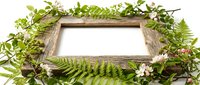 Wooden frame surrounded by lush green foliage, ferns, and delicate flowers, creating a natural border for text or design placement.