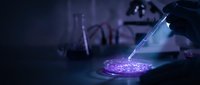 Laboratory scientist pouring glowing purple chemical solution from glass beaker into petri dish during scientific research experiment in modern lab facility.