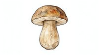 Watercolor illustration of a mushroom with brown cap and pale stem, isolated on white background, suitable for botanical designs, educational materials, and nature-themed projects.