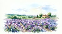 Watercolor lavender field landscape with rustic farmhouse, rolling hills, and purple blooms under a bright sky, isolated on white background.