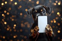 Funny dog holding blank white smartphone screen against dark background with golden bokeh lights. Pet using modern technology concept.