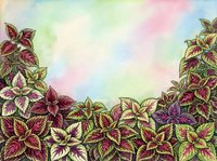 Colorful foliage with variegated leaves in burgundy, pink, and green tones arranged along bottom border against soft pastel watercolor background. Suitable for greeting cards, invitations, and botanical designs.