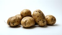 Fresh organic potatoes with natural soil marks isolated on white background for cooking and food preparation projects.