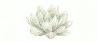 Watercolor illustration of a white lotus flower with delicate petals and soft green leaves, isolated on white background for design and botanical artwork use.