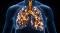 Glowing human lungs visualization with luminous network effect against dark background showing respiratory system anatomy in medical science concept.