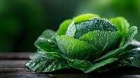 Fresh green cabbage head with water drops on leaves against dark wooden surface and blurred natural background. Organic produce concept.