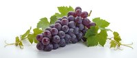 Fresh purple grapes cluster with green vine leaves isolated on white background for healthy food design and culinary projects.