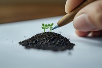 Small green seedling emerging from soil pile while hand draws with wooden pencil, symbolizing growth, creativity, and environmental concepts in business and education.