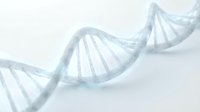 DNA double helix structure isolated on white background, suitable for scientific research, medical education, biotechnology presentations, and healthcare design projects.