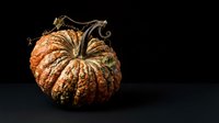 Textured orange pumpkin with dried stem isolated on dark background, suitable for autumn harvest designs, fall decorations, and seasonal marketing materials.