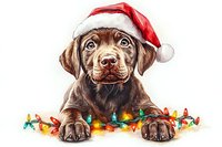 Chocolate Labrador puppy wearing Santa hat with colorful Christmas lights, watercolor style artwork on white background, isolated festive pet portrait.