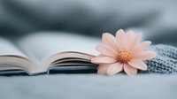 Soft pink daisy flower resting on open book pages with cozy knitted blanket, creating peaceful reading atmosphere for relaxation and mindfulness concepts.