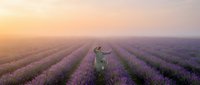 Young woman walking through blooming lavender field at sunrise with golden light and morning mist creating dreamy agricultural landscape for wellness and nature concepts.
