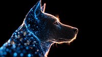 Mystical glowing wolf silhouette with blue sparkles and particles against black background, side view profile showing majestic wild animal spirit with luminous outline.