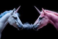 White and pink unicorns with magical horns face each other on black background, sharing mystical breath in dramatic lighting, creating ethereal fantasy scene.
