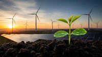 Green plant seedling growing from soil with wind turbines and solar panels at sunset representing sustainable renewable energy and environmental growth.