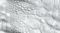 Macro view of white textured surface with organic cellular pattern showing bumps, ridges and irregular shapes. Abstract background with natural forms and shadows.