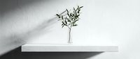 Minimalist white shelf with single green plant stem in glass vase against white wall with natural shadow, modern home decor and interior design element.