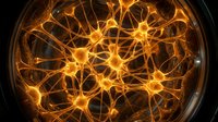 Glowing neural network connections in petri dish showing interconnected neurons with bright orange synapses for medical research and neuroscience studies.